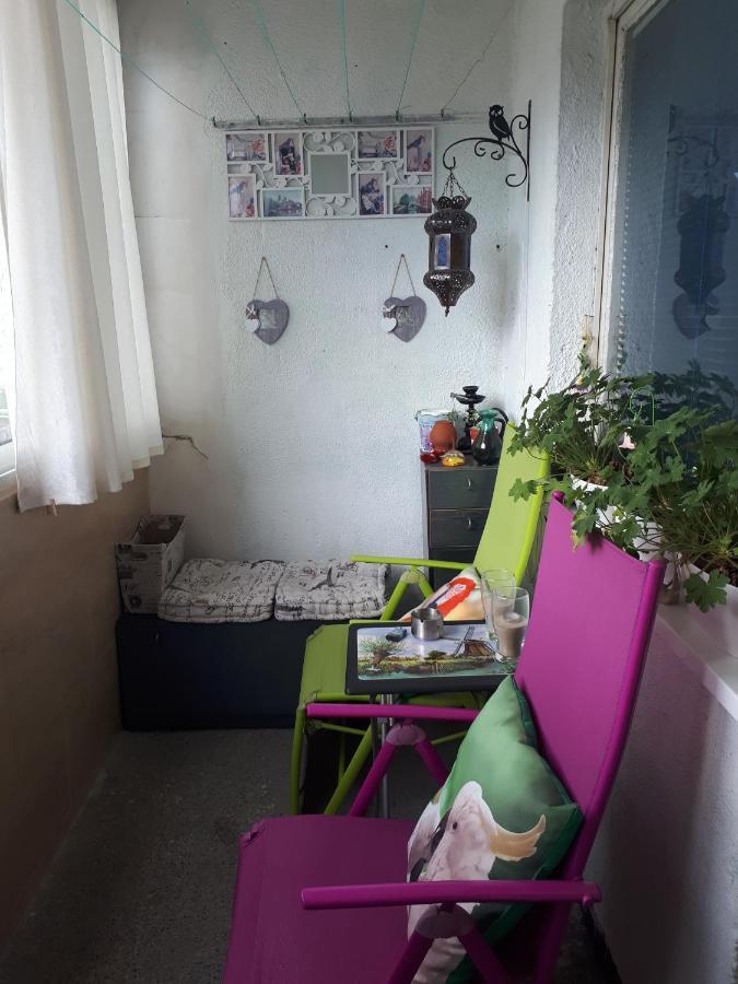 Tulips - Guest Room Close To The Airport, Free Street Parking Sofia Buitenkant foto