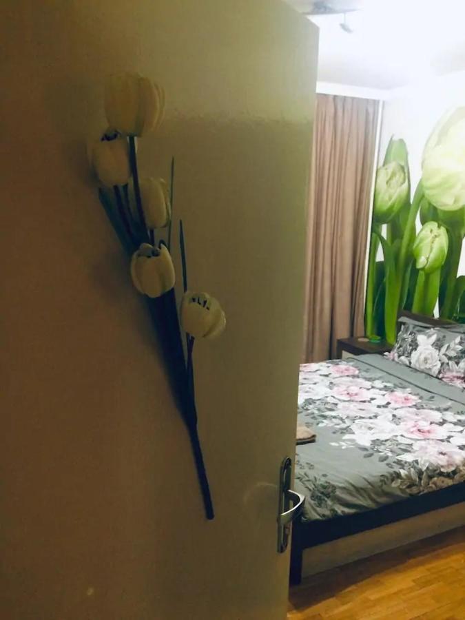 Tulips - Guest Room Close To The Airport, Free Street Parking Sofia Buitenkant foto