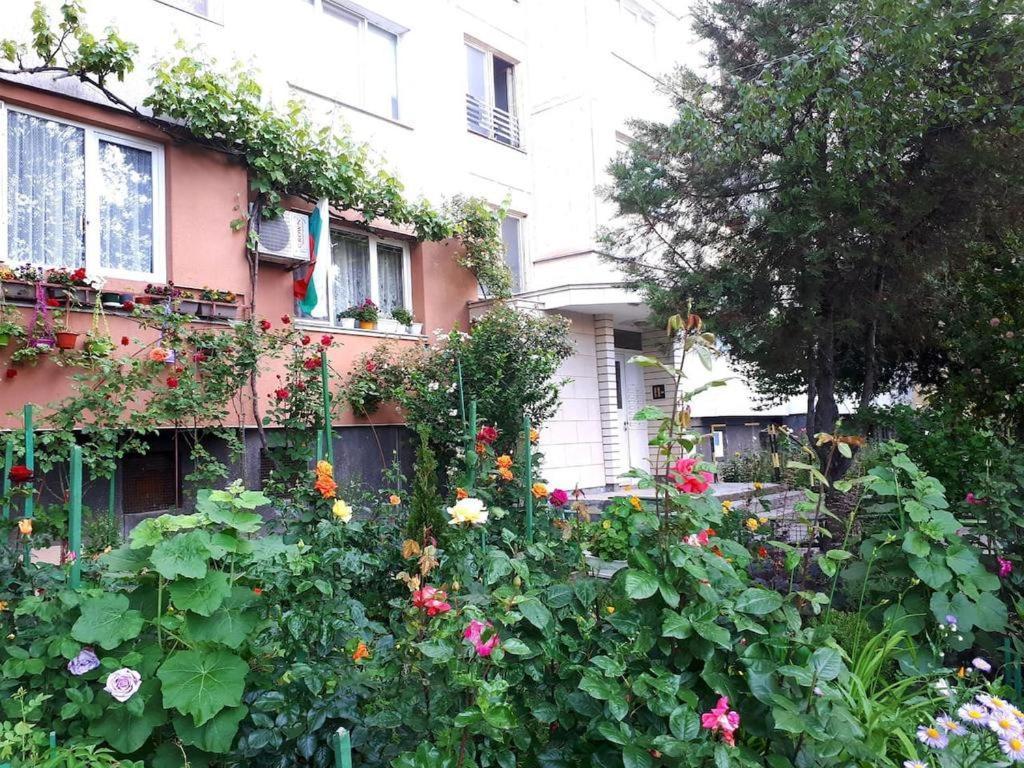 Tulips - Guest Room Close To The Airport, Free Street Parking Sofia Buitenkant foto